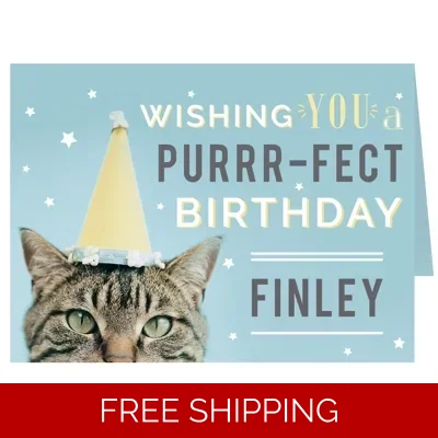Personalised Rachael Hale Purr-fect Birthday Card